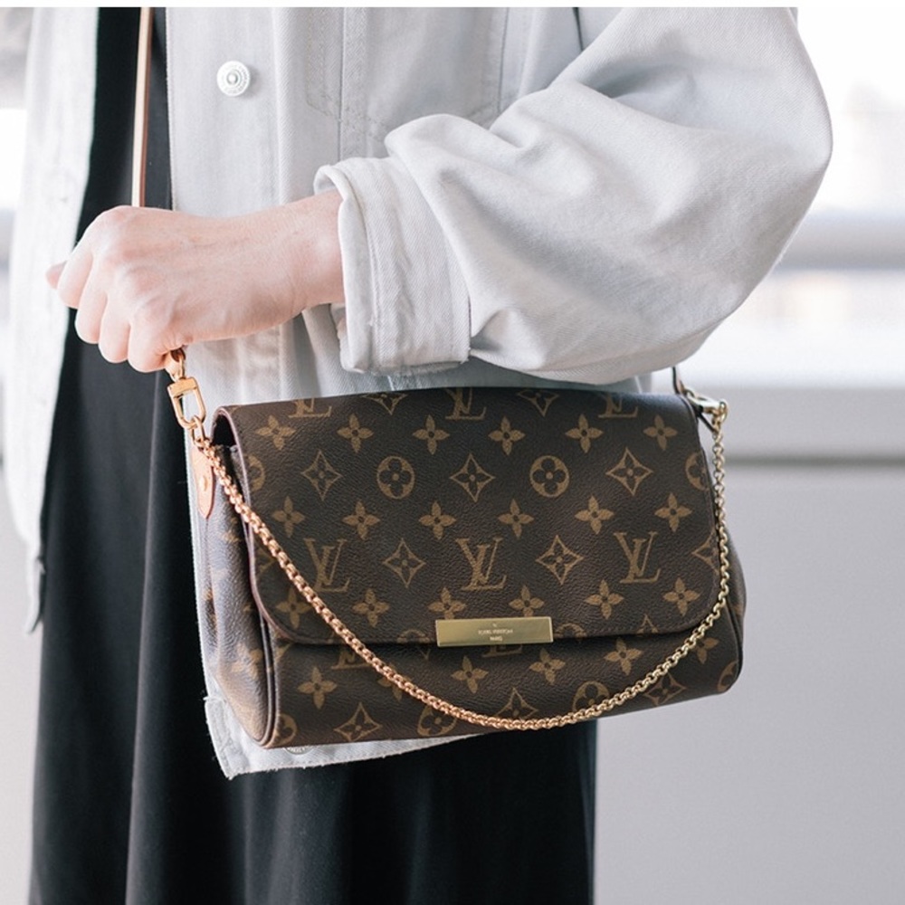 Louis Vuitton Favorite MM Bag